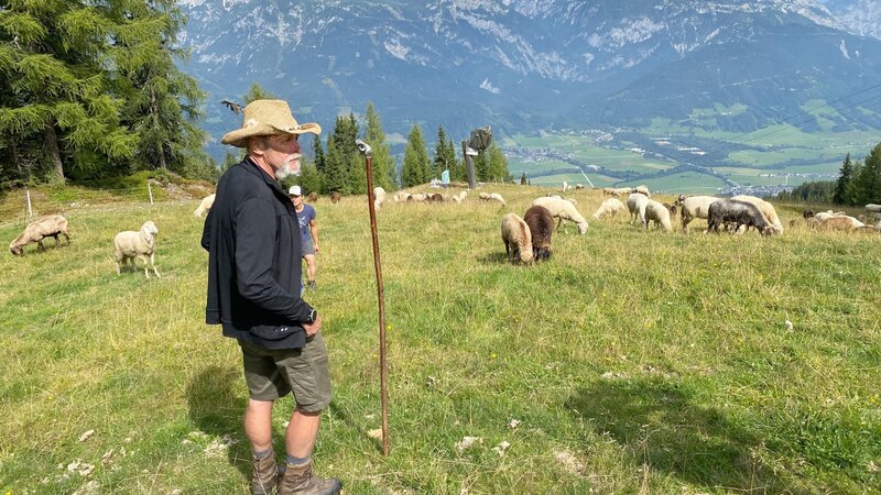 Schafe - Die heimlichen Helden der Almen – Bild: ORF/​splash productions