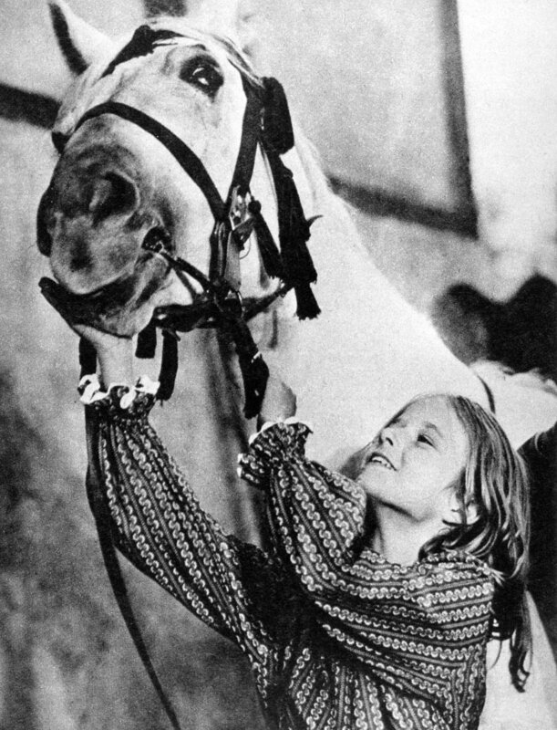 Märtke Wellm spielt das „Pferdemädchen“ Irka, dessen ganze Liebe und Sorge der blinden Stute gilt. – Bild: MDR/​PROGRESS/​Erkens, Pufahl