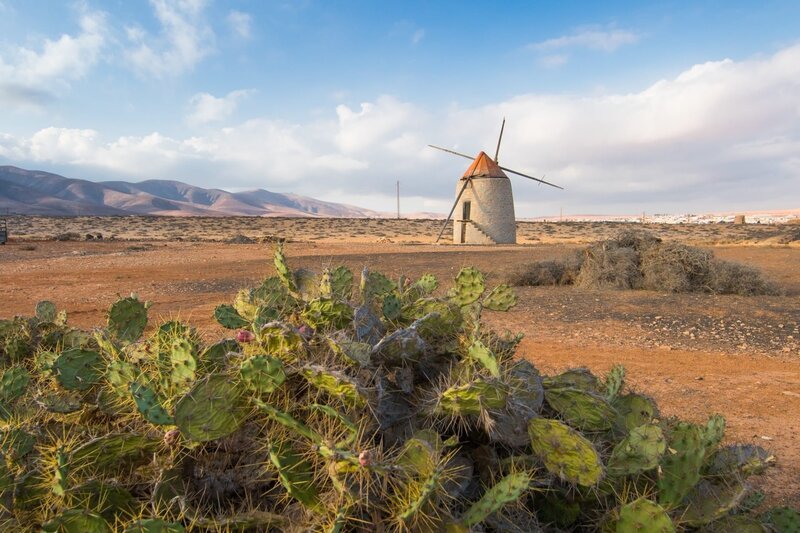 Früher lebten die Bewohner von Fuerteventura vom Ertrag ihrer Mühlen. Bis heute prägen sie die Landschaft. – Bild: ZDF und Patricia Brouard.