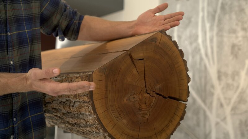  – Bild: ORF /​ D5 Produktion