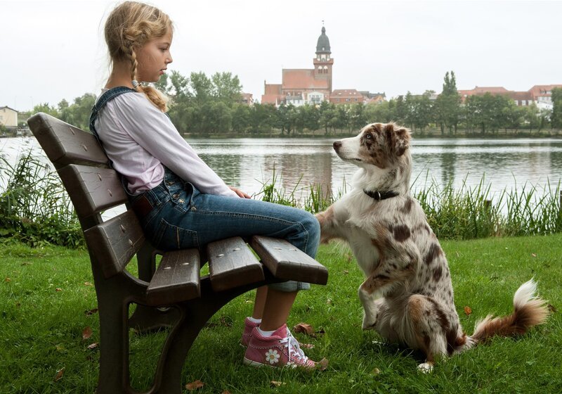 Käthe und ich bisher 10 Folgen Episodenguide fernsehserien.de Käthe und ich bisher 10 Folgen Episodenguide fernsehserien.de