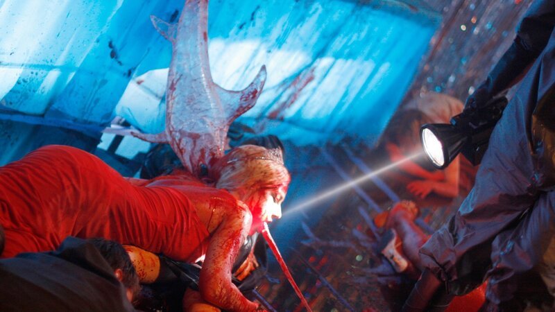 . – Bild: Silverline