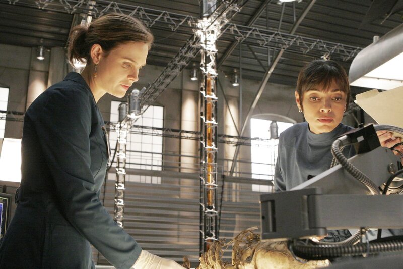Bones Die Knochenjägerin S02E05 Der Lügner in der Lauge (The Truth