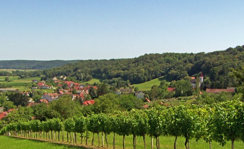 Weinanbau im Burgenland. – Bild: ZDF und SWR.