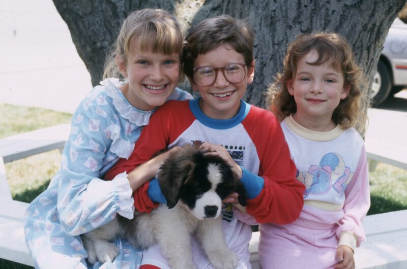 Ein Hund namens Beethoven – Bild: CH Media