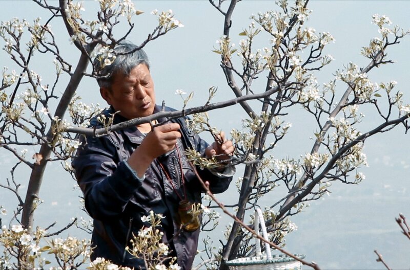 China - Lautlos liegt das Land – Bild: arte