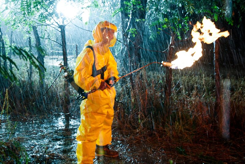 Cabin Fever 3: Patient Zero – Bild: Tiberius Film GmbH