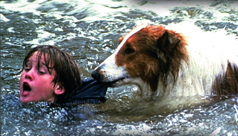  Lassie : Helen Slater, Brittany Boyd, Frederic Forrest