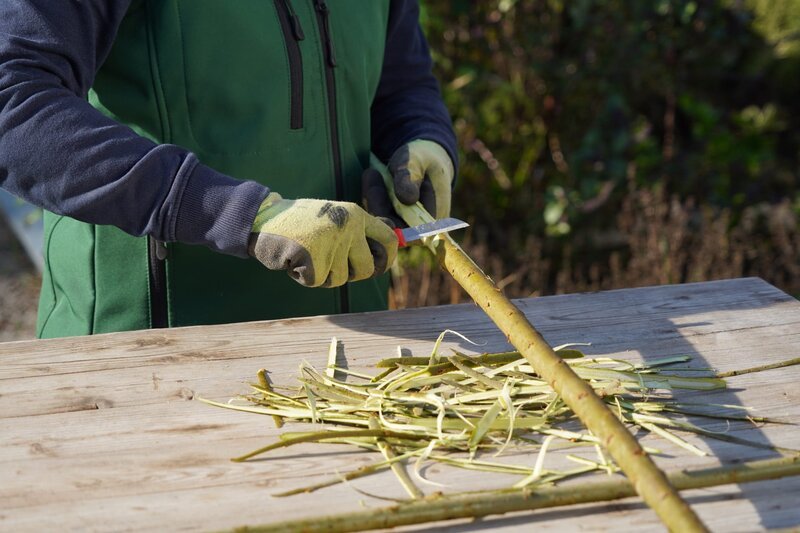 Natur im Garten (2006) S25E19 Folge 19 fernsehserien.de