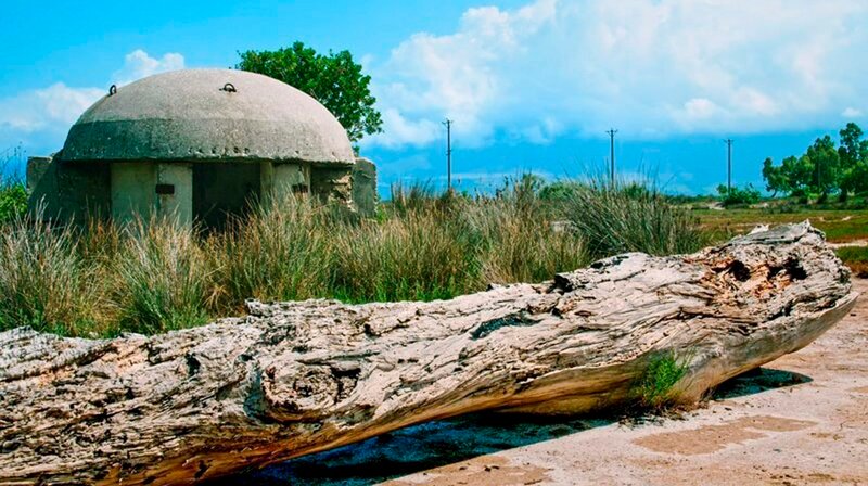 Betonpilz, Bunker, Süden Albaniens. – Bild: phoenix/ZDF/ORF/epo-Film Betonpilz, Bunker, Süden Albaniens. – Bild: phoenix/ZDF/ORF/epo-Film