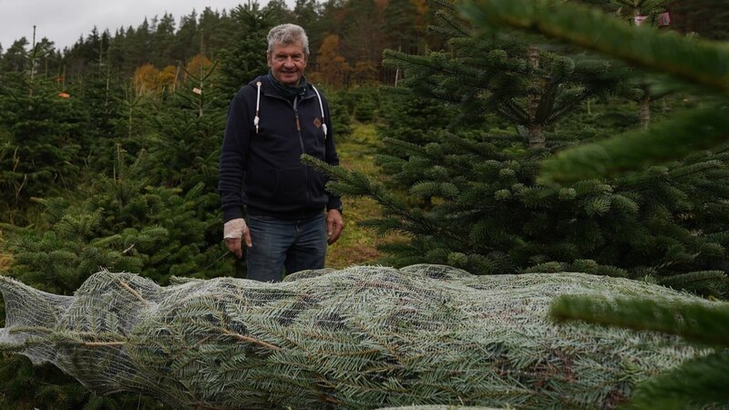 Bei Günther Marx wachsen Weihnachtsbäume mit Bio-Siegel. – Bild: ZDF und Jonas Drees./​Jonas Drees