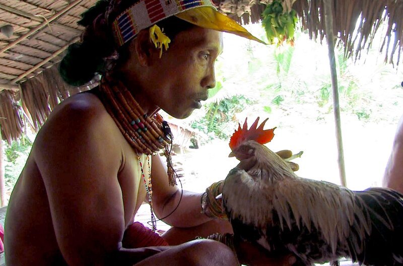 Zum Schamanen und Medizinmann der Mentawai Aman Paksa kommen die Menschen, wenn sie krank sind. Um ihnen zu helfen, wird nicht selten ein Tieropfer erbracht. – Bild: ART