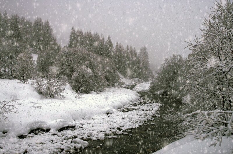 Steigende Temperaturen und tendenziell kürzere Schneeperioden bedrohen in den Alpen die Gebirgsflora und -fauna. – Bild: arte