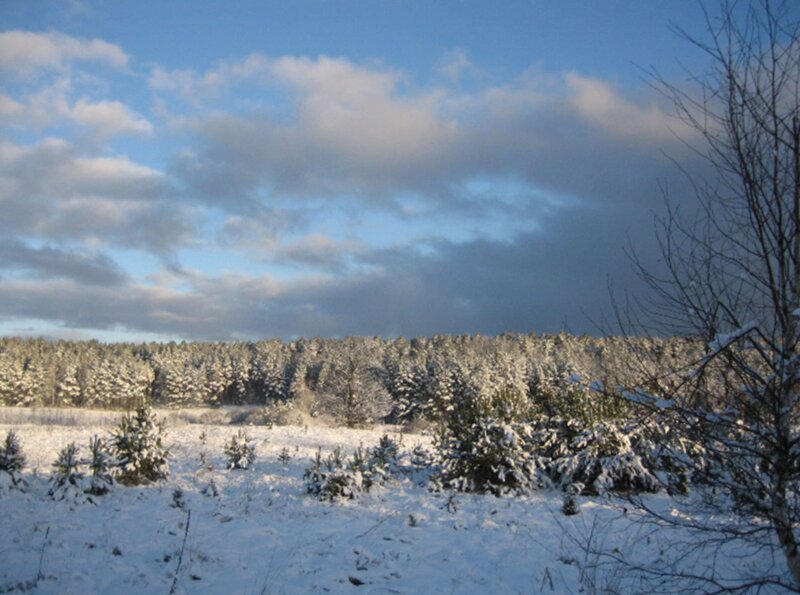 Winter in Ostpreußens Zauberwald – Bild: HR/​rbb/​Wolfgang Wegner