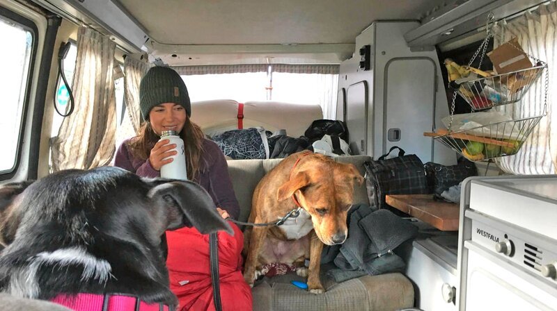 Die ehemalige Marketing-Beraterin Emily King und ihr Partner teilen den begrenzten Platz im Van mit ihren beiden Hunden. – Bild: phoenix/​ZDF/​Mattieu Faroux, Flora Desponts