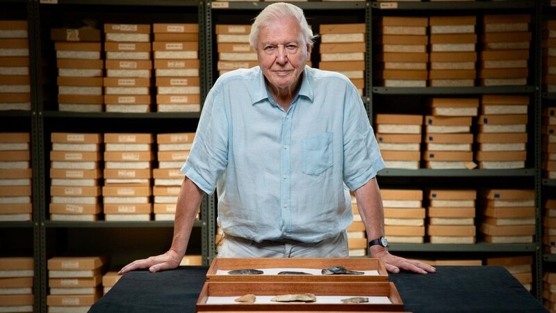 David Attenborough Die Verwendung des sendungsbezogenen Materials ist nur mit dem Hinweis und Verlinkung auf RTL+ gestattet. – Bild: GEO Television