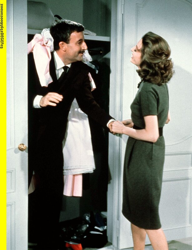 Der rosarote Panther – Bild: rbb/​Degeto