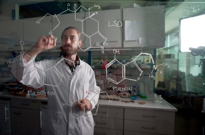 Heilende Drogen – Bild: Marcus Zahn /​ © Marcus Zahn