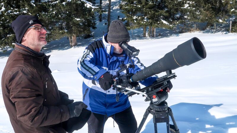 Geheimnisvolle Eichhörnchen – Bild: ORF/​dreiD.at/​Rilk Film