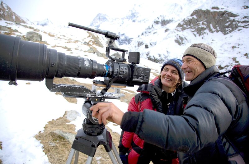 Ein Leben lang am Hang - Der Steinbock – Bild: arte