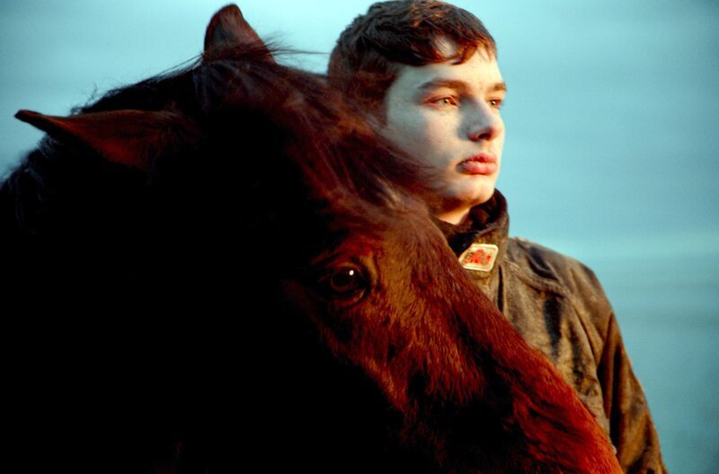 Der 16-jährige Johnny (Théo Bellet) will Jockey werden. Doch als Johnny klar wird, was für sein neues Lieblingspferd auf dem Spiel steht, falls es die Erwartungen nicht erfüllt, bekommt er plötzlich Zweifel an seiner Berufung. – Bild: Marianne Productions/​TS Productions – 2021 /​ © Marianne Productions/​TS Productions – 2021