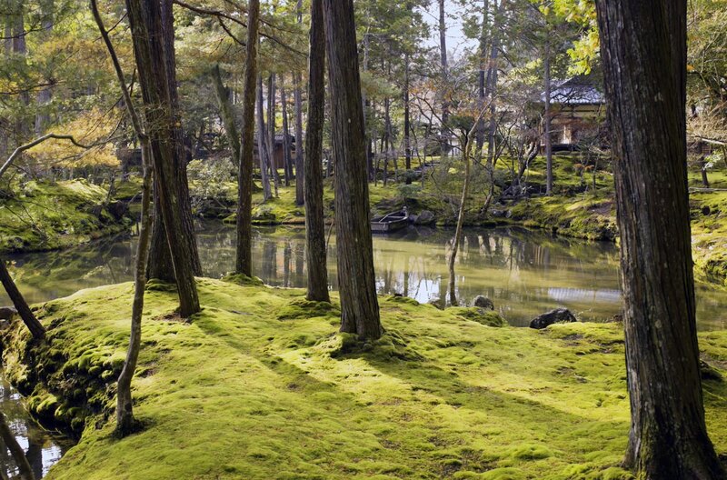 Moose, unscheinbare Helden – Bild: Zadig Productions /​ © Zadig Productions