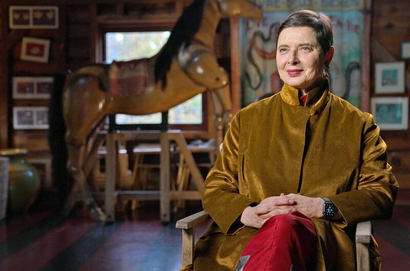 Norman Mailer - Gewalt und Leidenschaft – Bild: arte