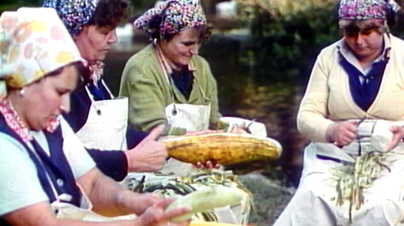 Der Spreewald wie er einmal war – Bild: rbb