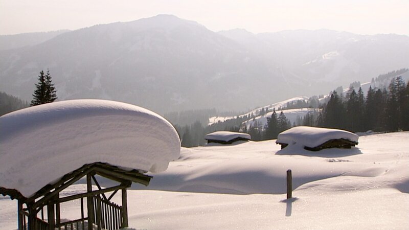 „Pistenzauber“, Eine amüsante Winterreise quer durch Österreich, von Mariazell bis St. Anton am Arlberg. Vom Geheimtipp über Traditionsreiches, vom einst Angesagten bis zum heute Gefragten. Etwas gilt für alle Regionen, durch die sich dieser Film bewegt: der großartige Aufschwung kam innerhalb der vergangenen hundert Jahre mit den ersten Seilbahnen und Liftanlagen. Aber auch abseits der Pisten tummeln sich bemerkenswerte Figuren, wie der steirische Barfußwanderer, der auch im Tiefschnee ohne Schuhwerk unterwegs ist, oder der Tiroler Eismann, der seine Tage im Inneren einer Gletscherhöhle verbringt. Ausgezeichnetes historisches Archivmaterial dokumentiert diesen alpinen Wirtschaftsboom und Zeitzeugen erzählen, wie es damals war, als die Seilbahn auf den Berg gekommen ist. SENDUNG: ORF3 – SA – 09.01.2021–17:45 UHR. – Veroeffentlichung fuer Pressezwecke honorarfrei ausschliesslich im Zusammenhang mit oben genannter Sendung oder Veranstaltung des ORF bei Urhebernennung. – Bild: ORF „Pistenzauber“, Eine amüsante Winterreise quer durch Österreich, von Mariazell bis St. Anton am Arlberg. Vom Geheimtipp über Traditionsreiches, vom einst Angesagten bis zum heute Gefragten. Etwas gilt für alle Regionen, durch die sich dieser Film bewegt: der großartige Aufschwung kam innerhalb der vergangenen hundert Jahre mit den ersten Seilbahnen und Liftanlagen. Aber auch abseits der Pisten tummeln sich bemerkenswerte Figuren, wie der steirische Barfußwanderer, der auch im Tiefschnee ohne Schuhwerk unterwegs ist, oder der Tiroler Eismann, der seine Tage im Inneren einer Gletscherhöhle verbringt. Ausgezeichnetes historisches Archivmaterial dokumentiert diesen alpinen Wirtschaftsboom und Zeitzeugen erzählen, wie es damals war, als die Seilbahn auf den Berg gekommen ist. SENDUNG: ORF3 – SA – 09.01.2021–17:45 UHR. – Veroeffentlichung fuer Pressezwecke honorarfrei ausschliesslich im Zusammenhang mit oben genannter Sendung oder Veranstaltung des ORF bei Urhebernennung. – Bild: ORF