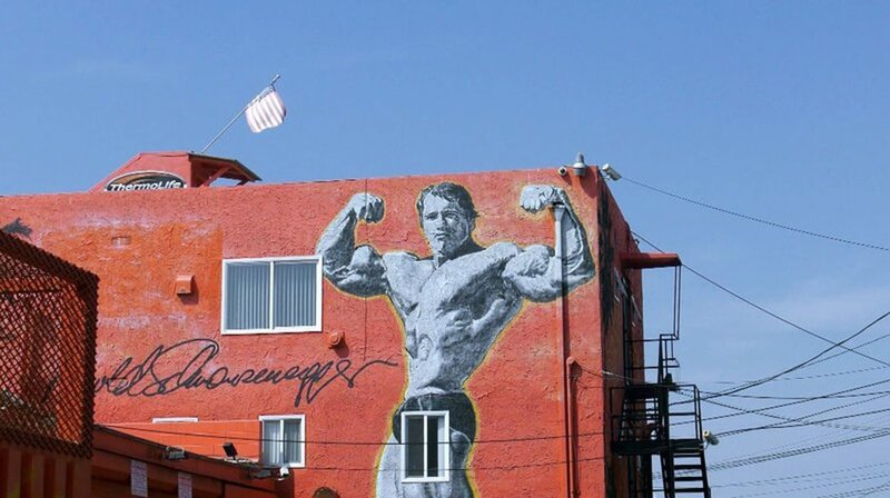 Arnold Schwarzenegger schaffte es vom gefeierten Entertainer Hollywoods zum Gouverneur von Kalifornien. – Bild: phoenix/ZDF/AB Productions Arnold Schwarzenegger schaffte es vom gefeierten Entertainer Hollywoods zum Gouverneur von Kalifornien. – Bild: phoenix/ZDF/AB Productions
