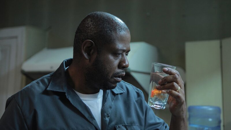 Repentance – Bild: PATTI PERRET /​ PATTI PERRET /​ © 2014 Tommy 2.0 LLC. All Rights Reserved.