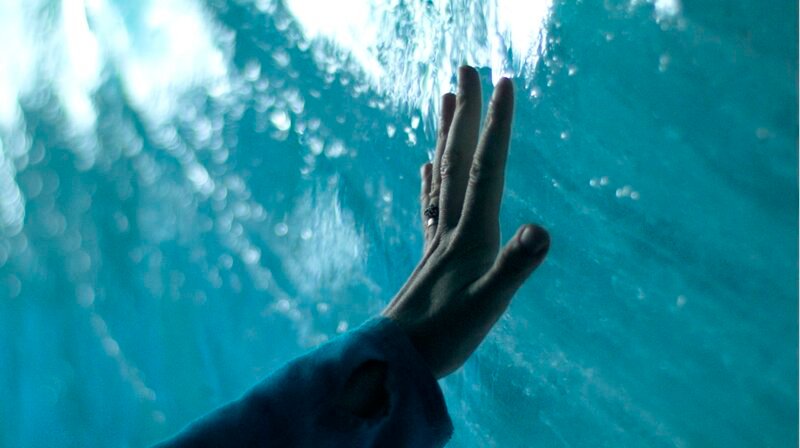 Mer de Glace: Hand (Julia Steinberger) berührt das Gletschereis – Bild: MDR/​NDR/​Das Kind mit der goldenen Jacke Filmproduktion/​2021 Carolina Steinbrecher