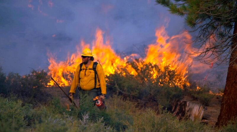 Die Feuerwehr löscht hier nicht nur. Sie legt auch gezielt Brände im Yosemite-Nationalpark, um die Entwicklung der Natur zu steuern. – Bild: phoenix/​ZDF