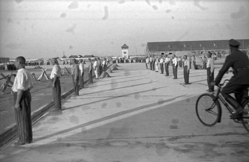 zeit.geschichte Hitlers blutiger Weg zur Macht – Der Mord an Ernst Röhm ...