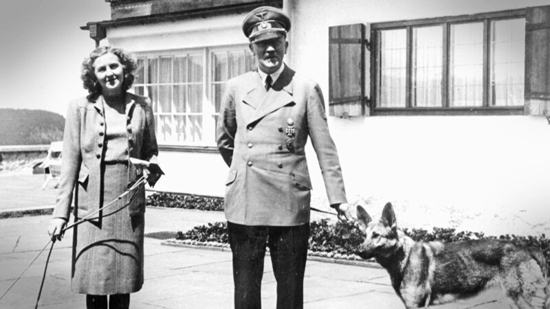 Das unbestritten prominenteste Tier im Dritten Reich ist Blondie, Adolf Hitlers Schäferhund. – Bild: BILD