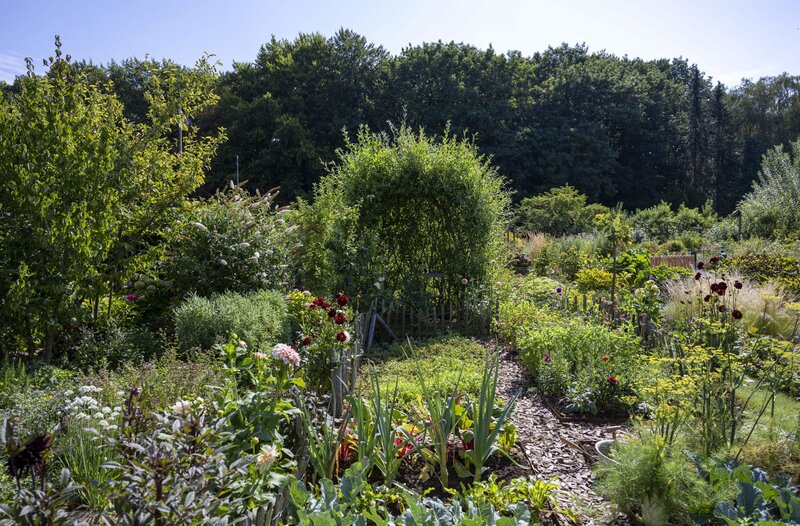 Garten & lecker S05E03 Schrebergarten mal anders in Dortmund