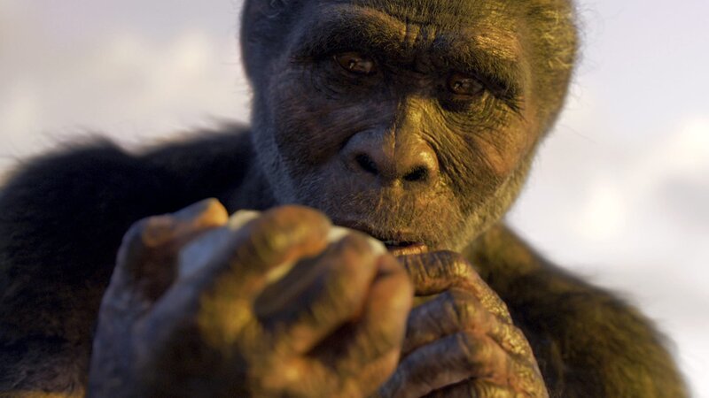 Vor mehr als zwei Millionen Jahren entwickelte sich wohl in Ostafrika Homo habilis. – Bild: Autentic GmbH/​NHK