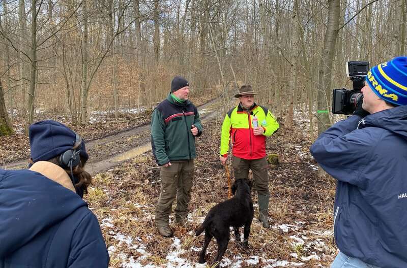 Paulinzella - Der Schatz im Wald – Bild: MDR