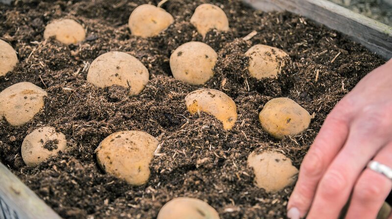 Rasch durch den Garten S02E01 Beete richtig anlegen und Schädlinge