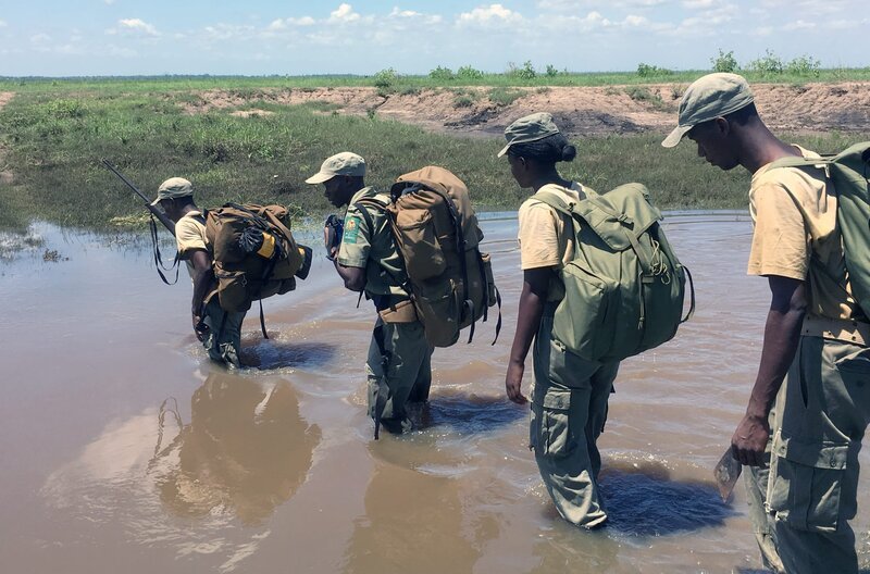 Ranger waten durch den Gorongosa-Nationalpark. – Bild: Gorongosa Media / Ranger waten durch den Gorongosa-Nationalpark. Ranger waten durch den Gorongosa-Nationalpark. – Bild: Gorongosa Media / Ranger waten durch den Gorongosa-Nationalpark.