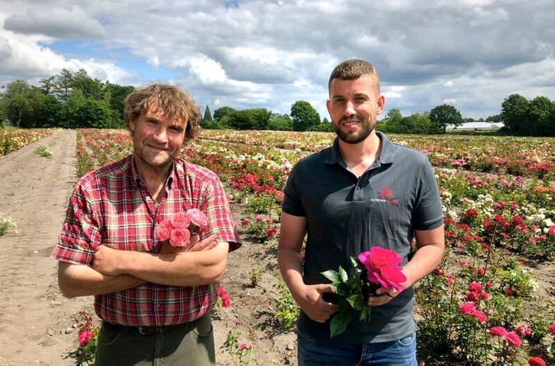 Geschäftsführer Wilhelm-Alexander Kordes (rechts) und sein Chef-Züchter für Gartenrosen, Thomas Proll (links). – Bild: SWR/Mouhcine El Ghomri Geschäftsführer Wilhelm-Alexander Kordes (rechts) und sein Chef-Züchter für Gartenrosen, Thomas Proll (links). – Bild: SWR/Mouhcine El Ghomri