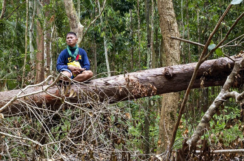 Aufgrund von intensiver Landwirtschaft, Holzhandel und Tourismus sind bereits zwei Drittel des Waldes in der philippinischen Provinz Palawan verschwunden. – Bild: MetFilm Sales /​ © MetFilm Sales