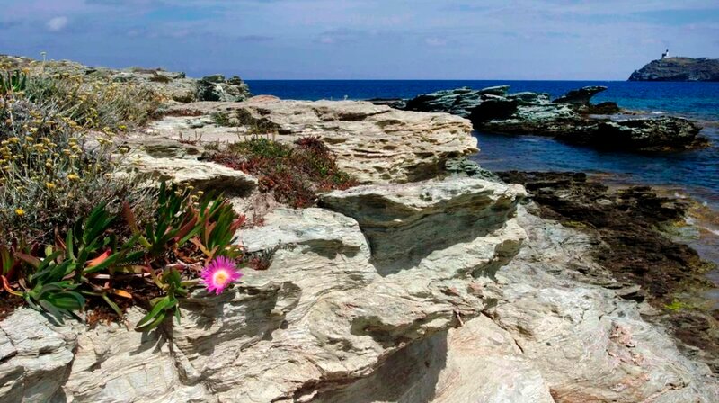 Cap Corse Landschaft. – Bild: phoenix/​ZDF/​ORF/​​epo-Film