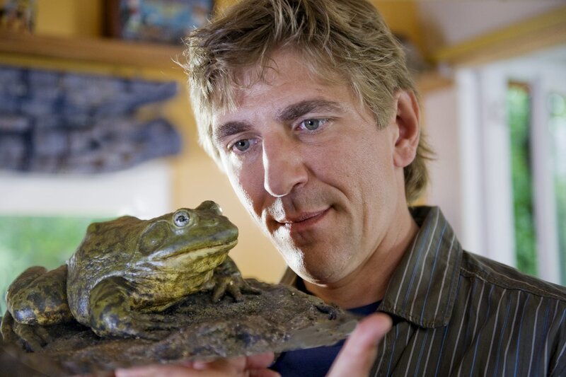 Löwenzahn 250 Frösche Der Prinz vom matschigen Tümpel fernsehserien.de