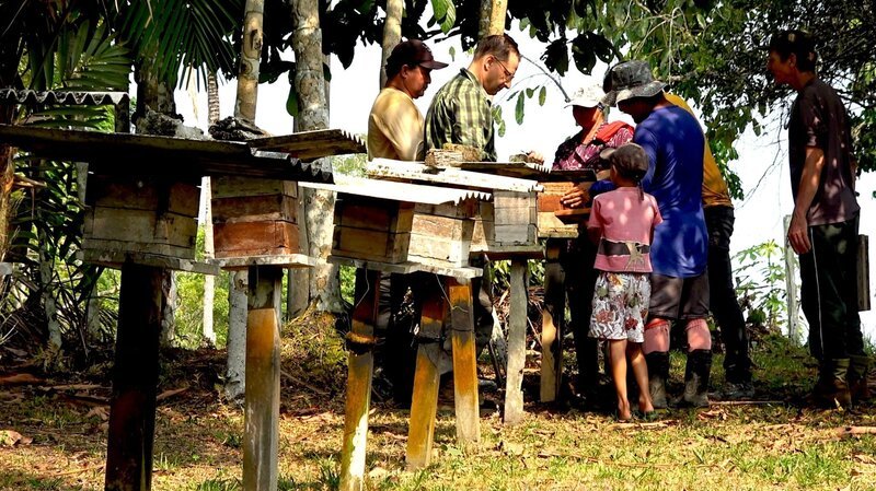 Der Berner Forstingenieur Dieter Bratschi besucht Bienenzüchter im Amazonas. – Bild: ZDF und SRF.