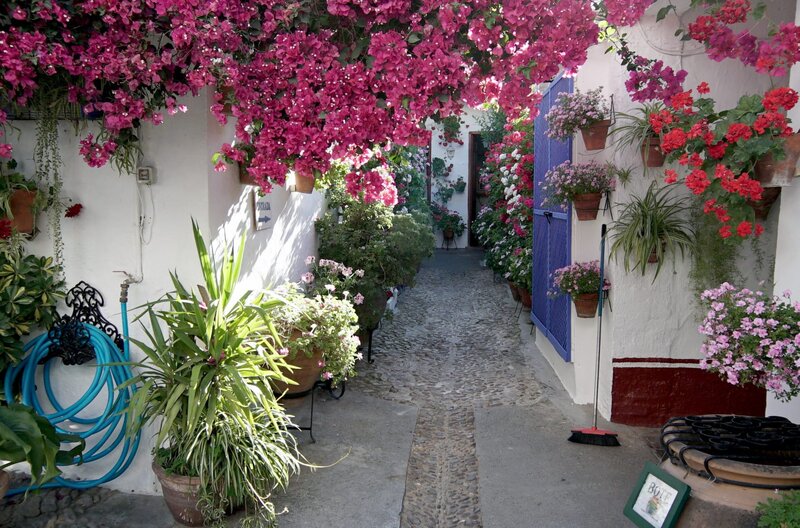 Córdoba - Die Stadt der Patios – Bild: MedienKontor/​Dietrich von Richthofen /​ Alles muss perfekt sein: Ein Wettbewerb der Patios wurde vor über 100 Jahren ins Leben gerufen und ist heute die größte Feierlichkeit der Stadt.