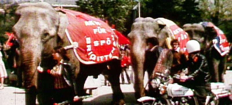 Elefanten am 1. Mai. 1971. – Bild: ORF/​Kurt Mayer Film