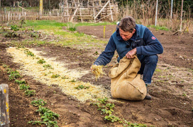 Rasch durch den Garten Staffel 3 Episodenguide fernsehserien.de