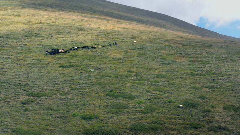 Hoch über dem Murtal – Bild: Bergblick