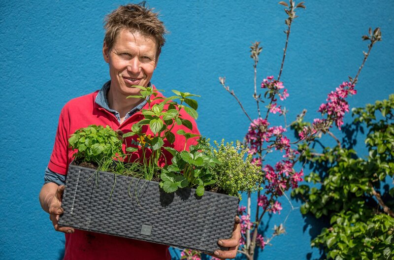Rasch durch den Garten S03E03 Folge 17 fernsehserien.de